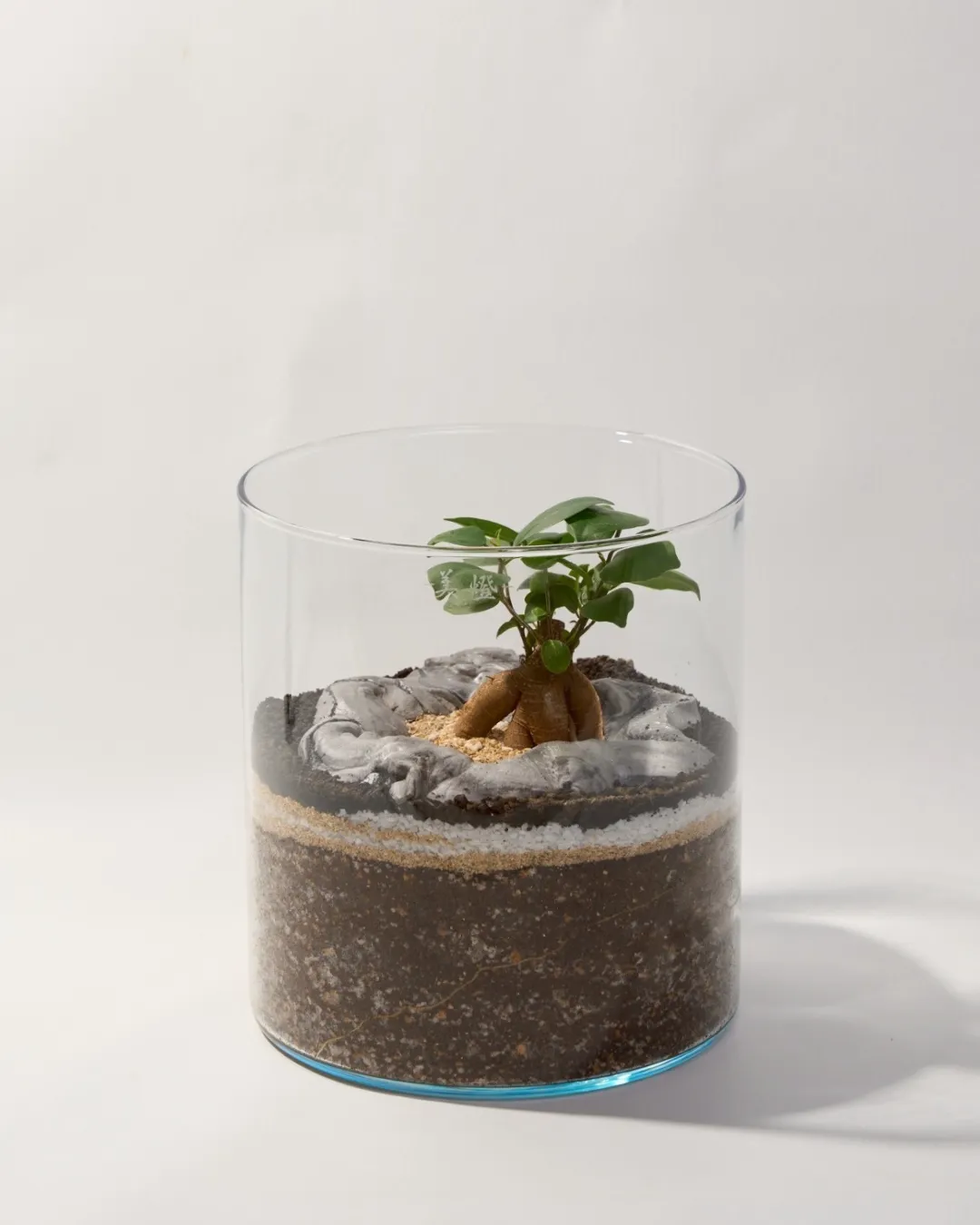 盆栽作品6
