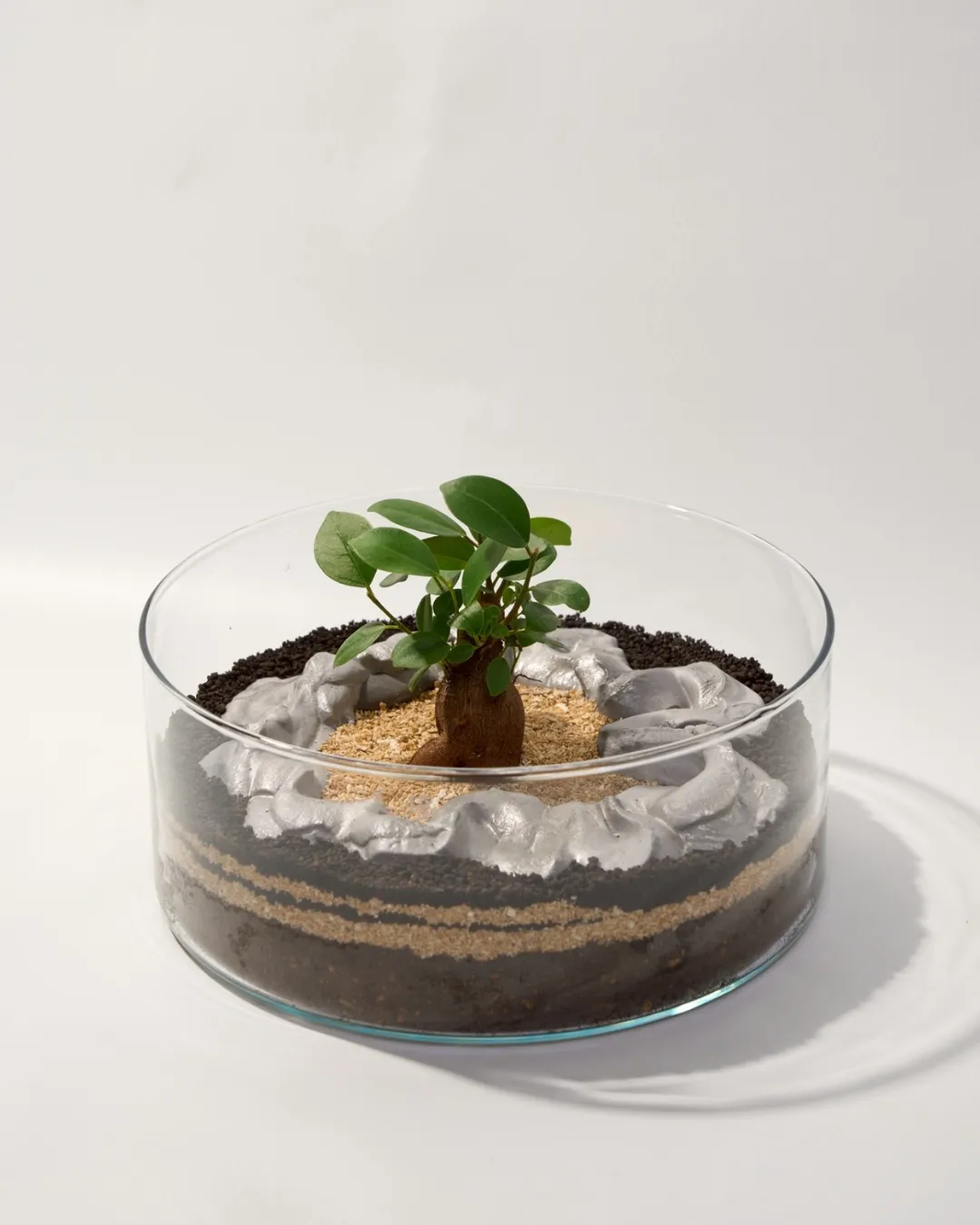 盆栽作品14